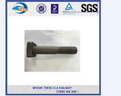Stainless Steel / Carbon Steel Railway Bolt Hardware And Fasteners ASTM F1852
